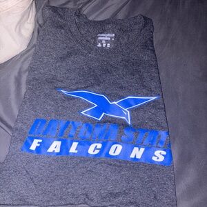 Daytona state falcons shirt